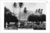 A navy landing party, St Kitts, West indies by Anonymous