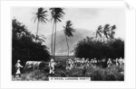 A navy landing party, St Kitts, West indies by Anonymous