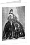 Portrait of a Woman by Constantin Guys
