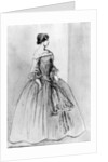 Portrait of a Woman by Constantin Guys