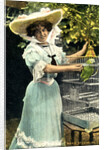 Marie Studholme (1872-1930), English actress by Anonymous