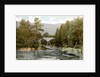 Bridge of Cluny, near Pitlochry, Perthshire, Scotland by Anonymous