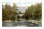 Bridge of Cluny, near Pitlochry, Perthshire, Scotland by Anonymous