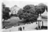 Dome and Pavilion Gardens, Brighton by Anonymous