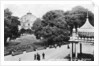 Dome and Pavilion Gardens, Brighton by Anonymous