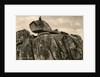 Logan Rock by Anonymous