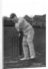 Cuthbert James Burnup (1875-1960), amateur cricketer and footballer by Bowden Bros.