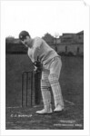 Cuthbert James Burnup (1875-1960), amateur cricketer and footballer by Bowden Bros.