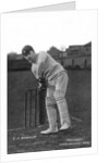 Cuthbert James Burnup (1875-1960), amateur cricketer and footballer by Bowden Bros.