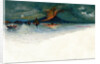 Vesuvius in 1872 by Anonymous