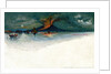 Vesuvius in 1872 by Anonymous