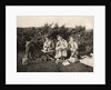 Women enjoying a picnic by Anonymous