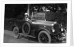 Woman driving a car by Anonymous