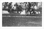 British army encampment by the Yamuna river, India by Anonymous