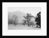 British army encampment, Kalsi, India by Anonymous
