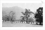 British army encampment, Kalsi, India by Anonymous