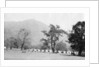 British army encampment, Kalsi, India by Anonymous