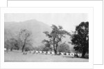 British army encampment, Kalsi, India by Anonymous