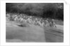 British soldiers washing in a mountain stream, Kalsi, India by Anonymous