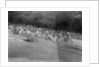 British soldiers washing in a mountain stream, Kalsi, India by Anonymous