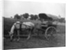 Tonga (horse cart), Muttra, India by Anonymous