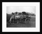Tonga (horse cart), Muttra, India by Anonymous