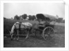 Tonga (horse cart), Muttra, India by Anonymous