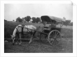 Tonga (horse cart), Muttra, India by Anonymous