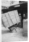 A porter lifting a large load, Chakrata, India by Anonymous