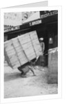 A porter lifting a large load, Chakrata, India by Anonymous