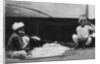 Cotton cleaners, India by Anonymous