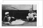 Cotton cleaners, India by Anonymous