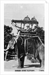 Baroda state elephant, India by Anonymous