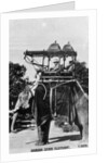 Baroda state elephant, India by Anonymous