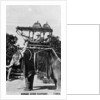 Baroda state elephant, India by Anonymous