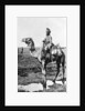 Camel cavalry transport, India by Anonymous