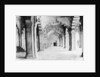 Moti Masjid, Agra by Anonymous