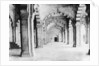 Moti Masjid, Agra by Anonymous