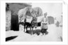 Persian donkey transport, Baghdad, Iraq by Anonymous