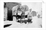 Persian donkey transport, Baghdad, Iraq by Anonymous