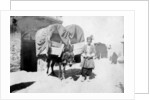 Persian donkey transport, Baghdad, Iraq by Anonymous