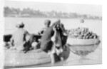 River craft laden with melons, Tigris River by Anonymous