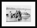 River craft laden with melons, Tigris River by Anonymous