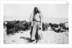 Arab shepherd, Kazimain area, Iraq by Anonymous