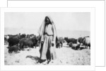 Arab shepherd, Kazimain area, Iraq by Anonymous