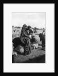 Women collecting water at on the Tigris River, Baghdad, Iraq by Anonymous