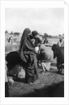 Women collecting water at on the Tigris River, Baghdad, Iraq by Anonymous