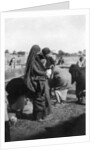 Women collecting water at on the Tigris River, Baghdad, Iraq by Anonymous