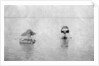 Crossing the Tigris river on inflated goat skins by Anonymous