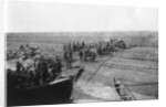 British troops unloading dates on the shore of the Tigris river by Anonymous